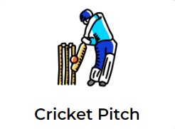 Cricket Pitch